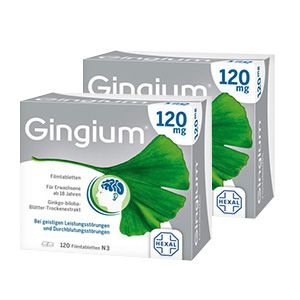 GINGIUM 120 mg Filmtabletten Doppelpackung (2x120 St)